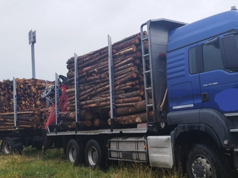 Camion Forestier MAN TGS 33.500