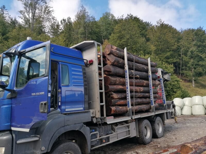 Camion Forestier MAN TGS 33.500