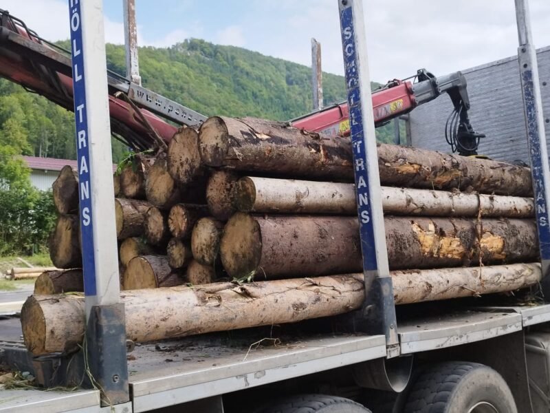 Camion Forestier MAN TGS 33.500