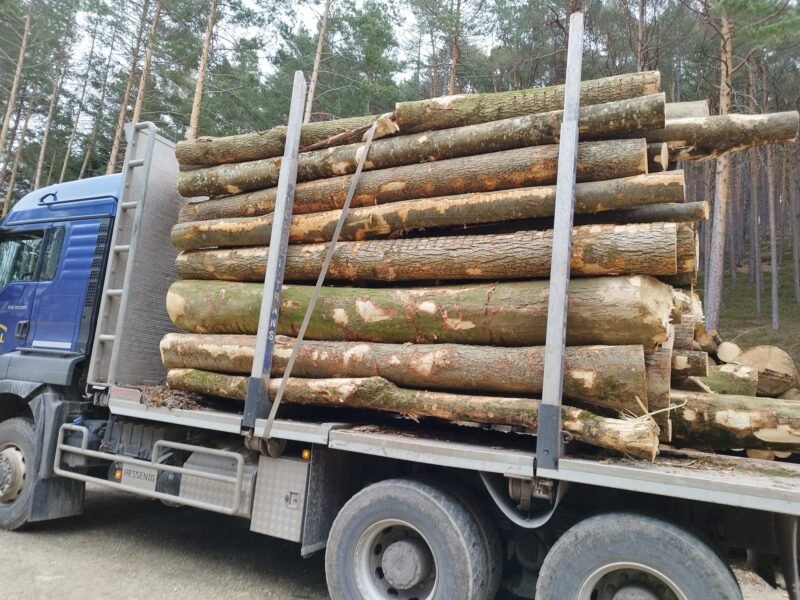 Camion Forestier MAN TGS 33.500