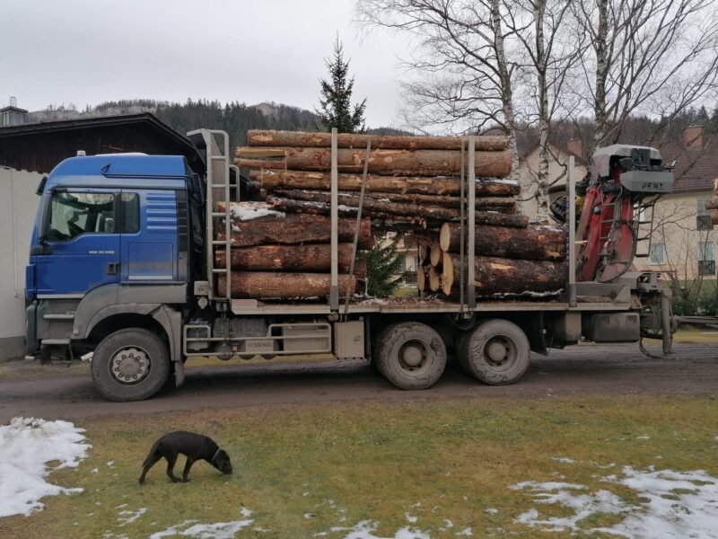 Camion Forestier MAN TGS 33.500